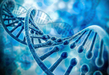 Cmp(冠军)官网 - 西甲希洪竞技主赞助商